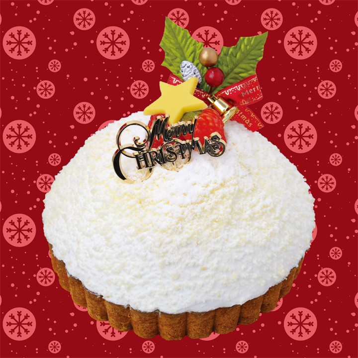 ドーム型のホワイトクリスマスケーキが可愛い Mon Plaisir クリスマスケーキ ほっとこうち
