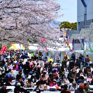 第9回岡豊山さくらまつり 土佐の食１グランプリ アーカイブ ほっとこうち