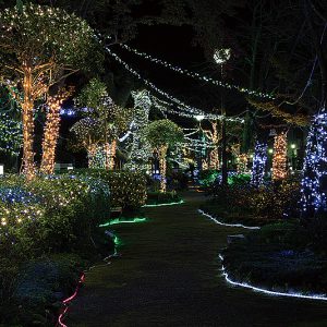 92352dddacdd9734c73aeb442dcde5