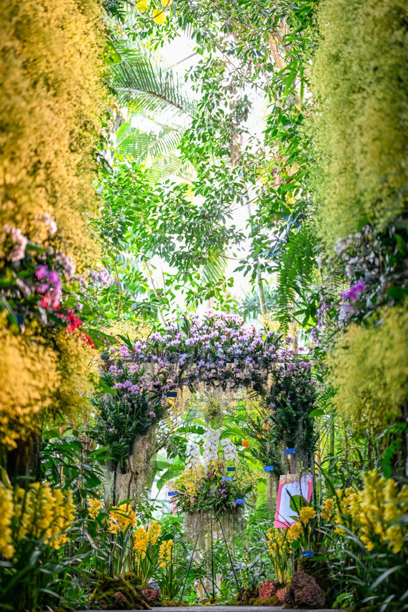 牧野植物園-02