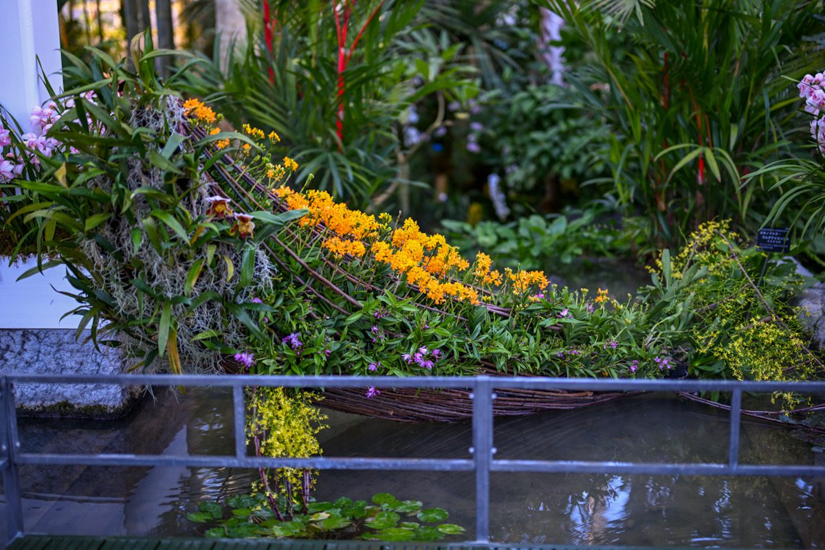 牧野植物園-10