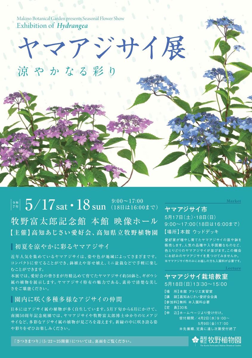ヤマアジサイ展