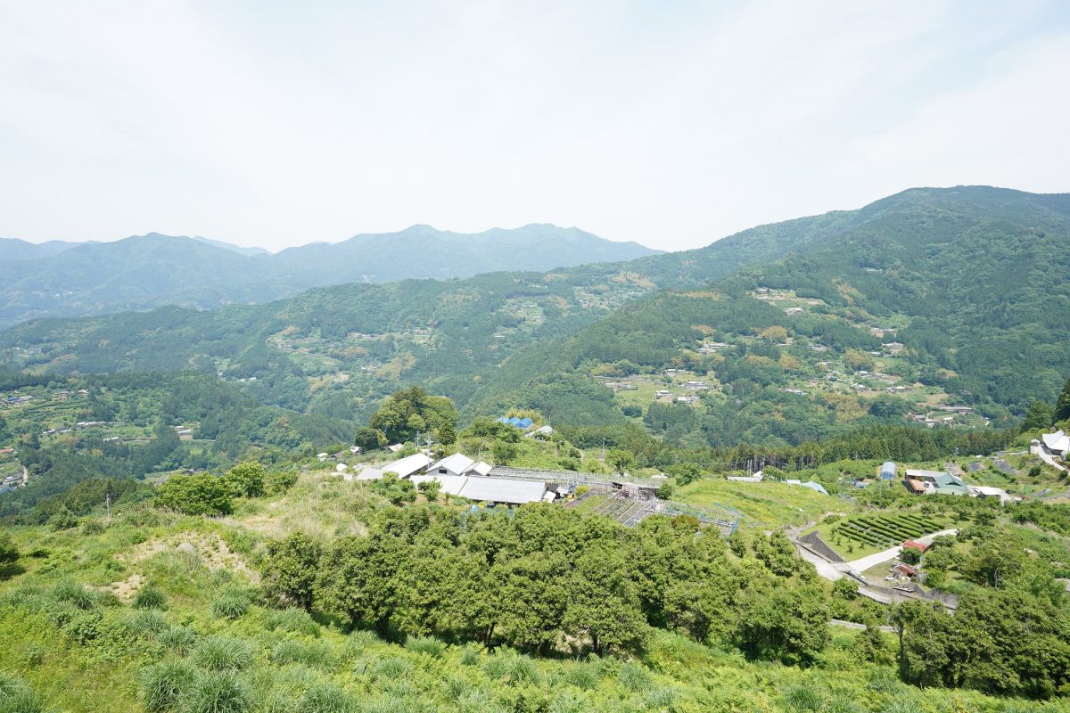 景色
