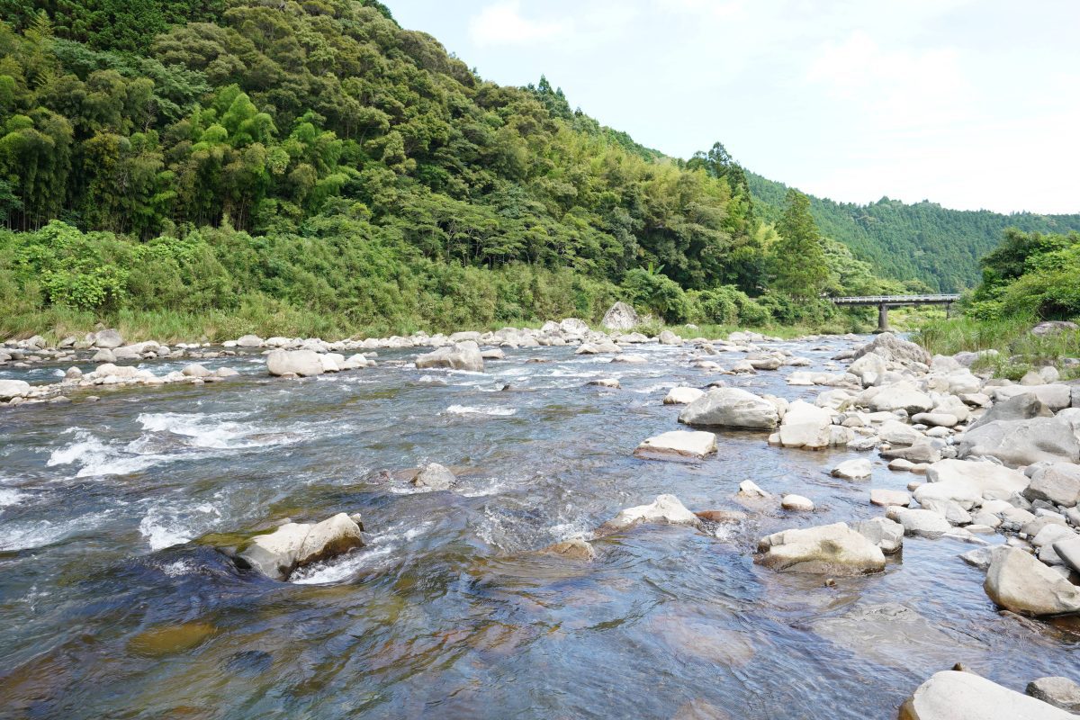安田川