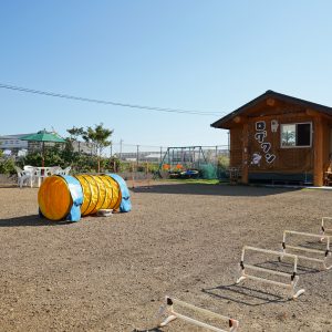 ドッグラン