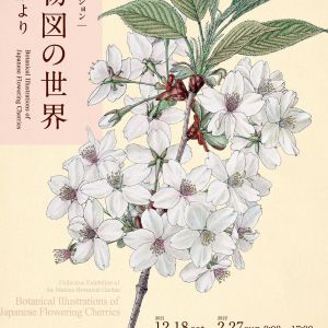 特別展「士たちの富士山」図録販売開始のお知らせ | 【公式