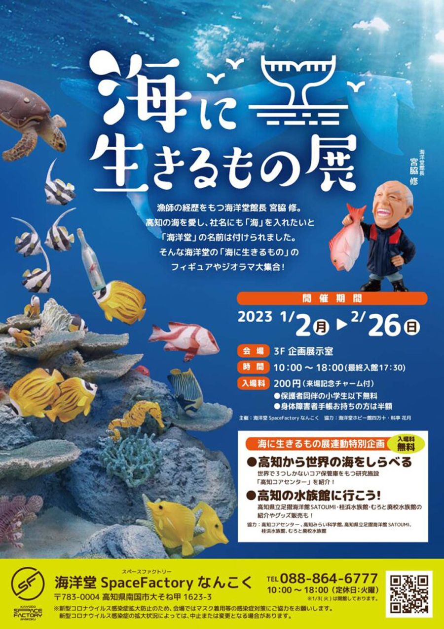 海好きの人必見！「海に生きるもの展」へ行こう♪ ‹ イベント ‹ ほっとこうち