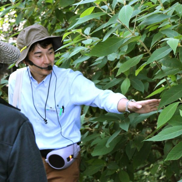 牧野植物園「初夏のガーデンツアー」のチラシ